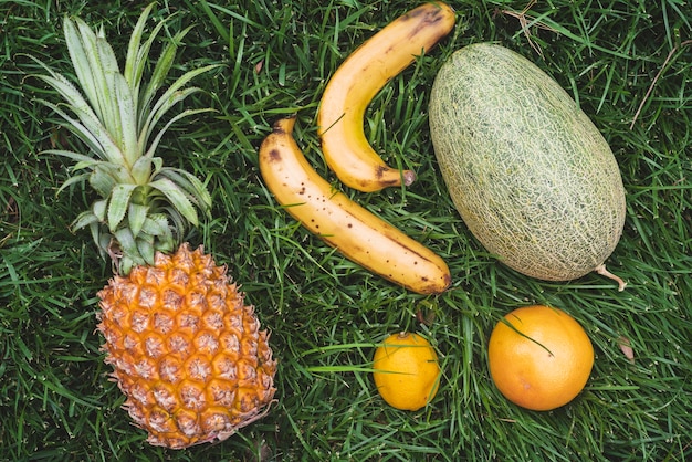 Vista de alto ángulo de varias frutas frescas en la hierba verde