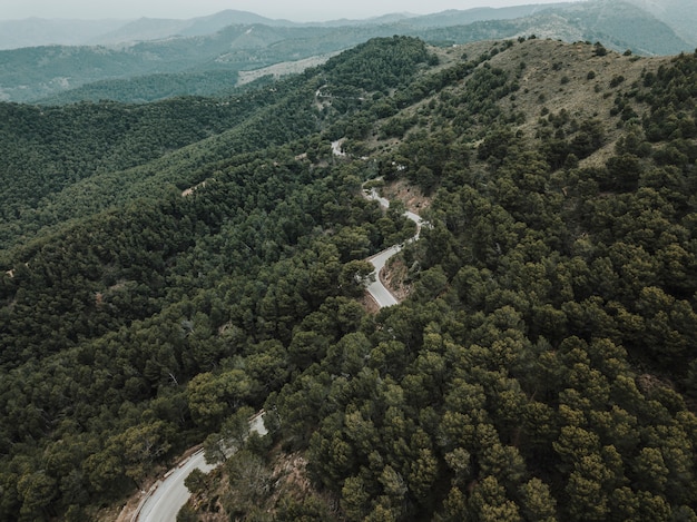 Vista de ángulo alto de la carretera en el bosque tropical verde