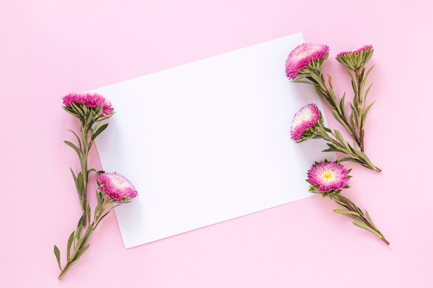 Vista de ángulo alto de flores y hoja de papel en blanco sobre fondo rosa