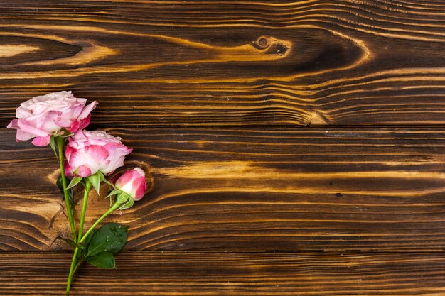 Vista de ángulo alto de hermosas rosas rosadas sobre fondo de madera