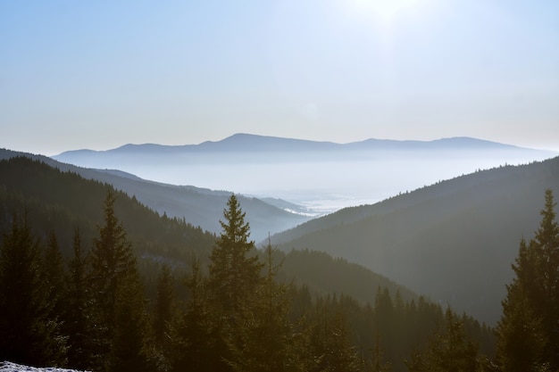 Vista de ángulo alto de un hermoso paisaje de un bosque en las montañas borrosas