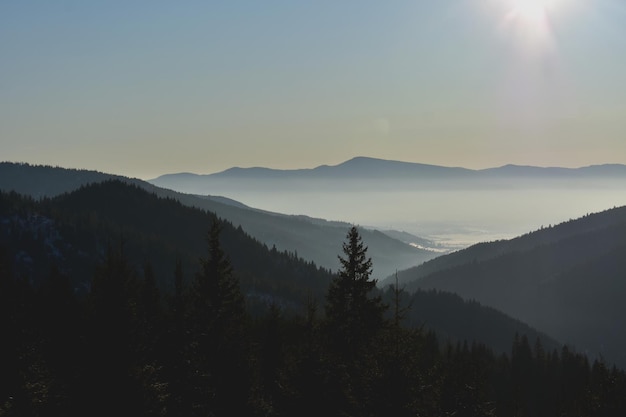 Vista de ángulo alto de un hermoso paisaje de un bosque en las montañas borrosas