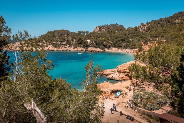 Vista de ángulo alto de una laguna azul rodeada de árboles en Ibiza