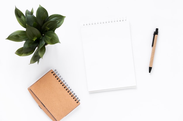 Vista de ángulo alto de la libreta espiral; diario; planta en maceta y pluma sobre fondo blanco