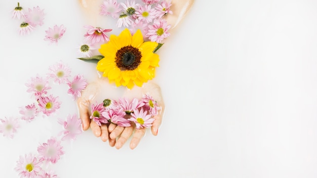 Vista de ángulo alto de la mano de una mujer con flores amarillas y rosadas en aguas claras