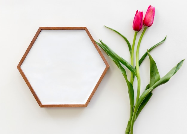 Vista de ángulo alto del marco con forma de hexágono y flor de tulipán rojo sobre superficie blanca