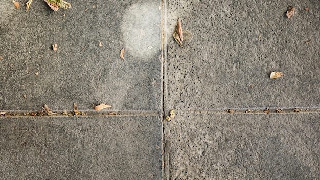 Vista de ángulo alto de piso de concreto de cemento con hojas secas