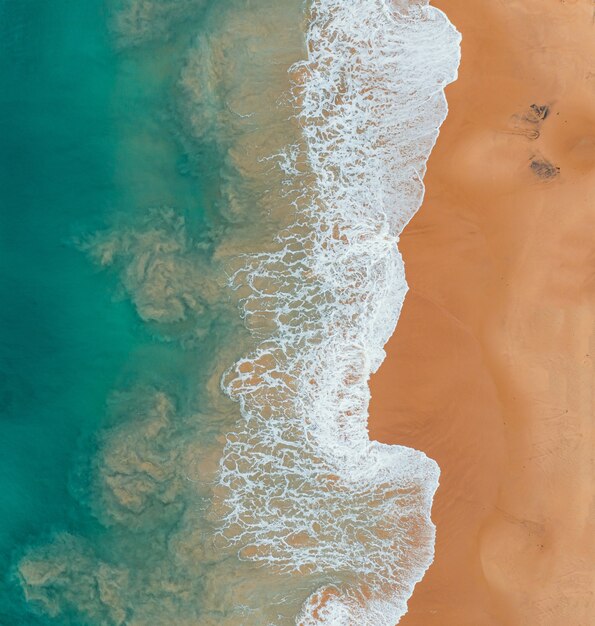 Vista de ángulo alto de la playa y el mar bajo la luz del sol: ideal para fondos y fondos de pantalla