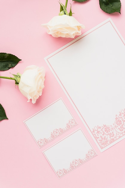 Vista de ángulo alto de tarjetas en blanco y rosas blancas en superficie rosada