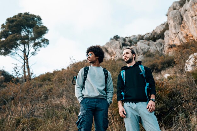 Vista de ángulo bajo de excursionistas multiétnicos masculinos