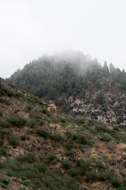 Vista de ángulo bajo de pico de montaña brumosa