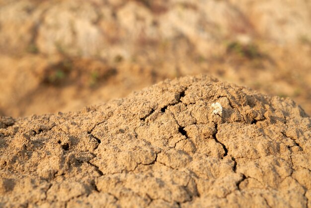 Vista anterior de montones de arena marrón que se desmorona en el desierto.