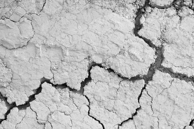 Vista anterior del suelo gris grietas en el desierto.