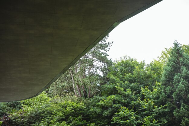 Vista de un árbol exterior y la construcción