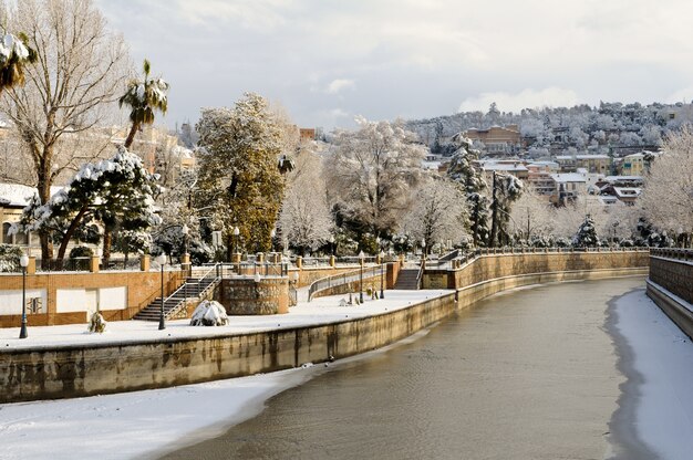 Vista de árboles con nieve junto al río