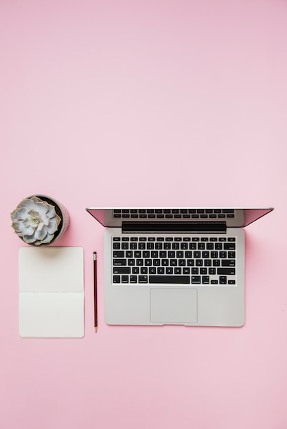 Foto gratuita una vista desde arriba de la planta de cactus; cuaderno; lápiz y una computadora portátil abierta sobre fondo rosa