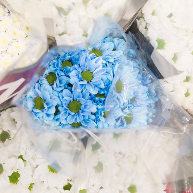Una vista desde arriba del ramo de manzanilla azul rodeado de flor blanca