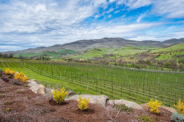 Vista de la bodega