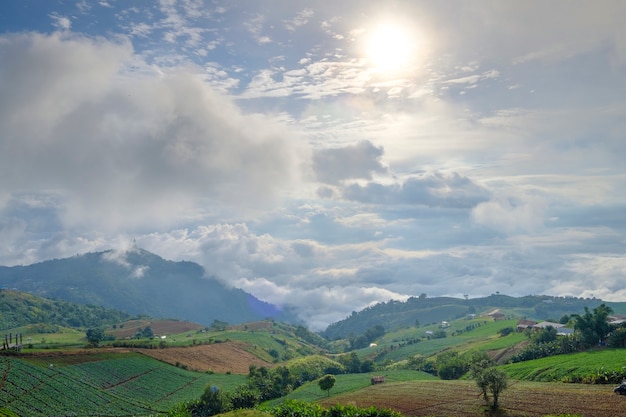 Vista del bosque y paisaje de montaña.