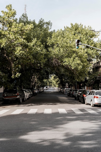 Vista de la calle de la ciudad con árboles y tarjeta.