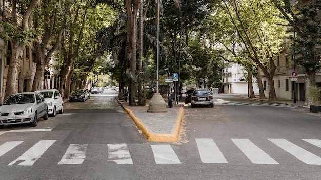 Vista de la calle de la ciudad con coches y paso de peatones.