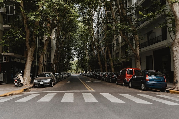 Vista de una calle de la ciudad con paso de peatones y coches