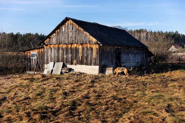 Foto gratuita vista de la casa vieja y abandonada en la naturaleza