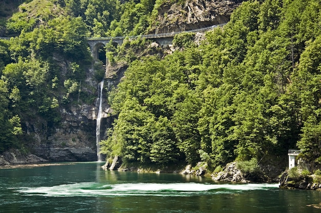 Vista de cascadas con árboles verdes cerca del lago.