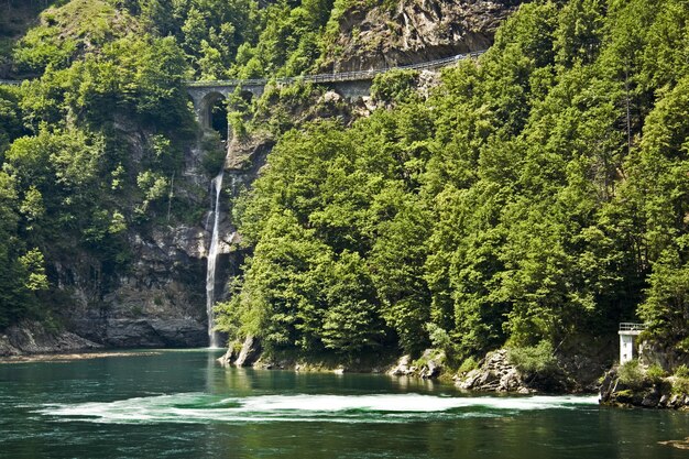 Vista de cascadas con árboles verdes cerca del lago.