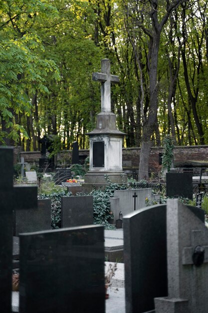 Vista de un cementerio con lápidas