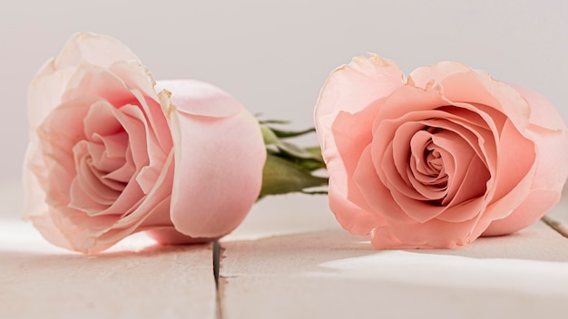 Vista cercana del concepto de día de San Valentín con rosas