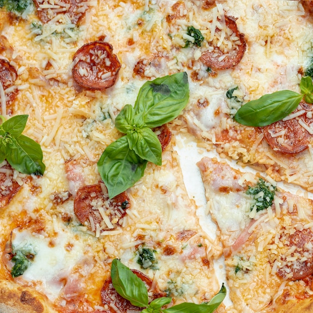 Vista cercana de deliciosa pizza con tomate y albahaca