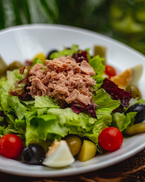 Vista cercana de ensalada de atún con tomates cherry, huevos y aceitunas en un plato blanco