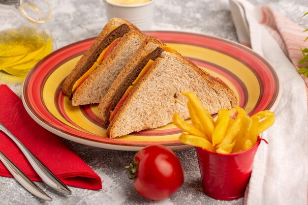 Vista cercana frontal deliciosas tostadas sándwiches con jamón de queso dentro de la placa con papas fritas y crema agria
