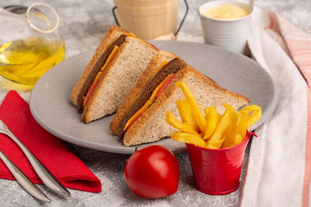 Vista cercana frontal sabrosos sándwiches de pan tostado con jamón de queso dentro de la placa con papas fritas, crema agria y aceite en la superficie blanca