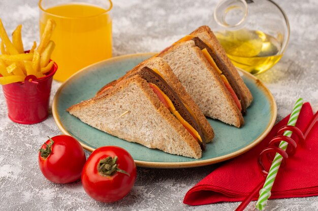 Vista cercana frontal sabrosos sándwiches de pan tostado con queso y jamón dentro de un plato azul con jugo y papas fritas