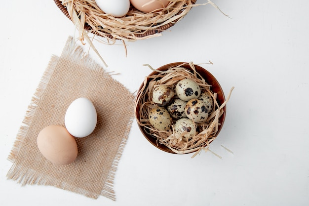 Vista cercana de huevos en cilicio y tazón de huevos en el nido sobre fondo blanco con espacio de copia