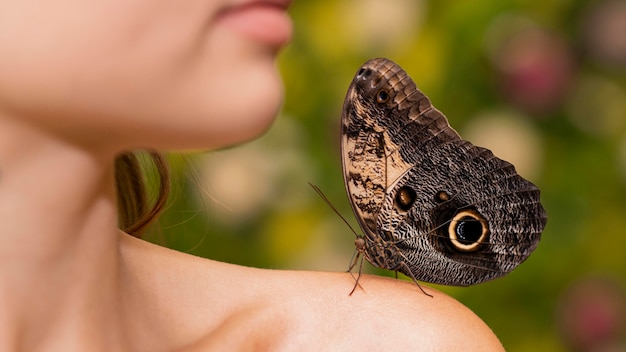 Foto gratuita vista cercana de la mariposa en el hombro