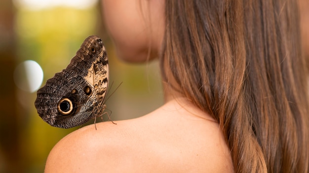 Foto gratuita vista cercana de la mariposa en el hombro