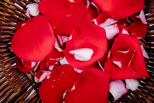 Vista cercana de pétalos de flores rosas rojas en una canasta de mimbre