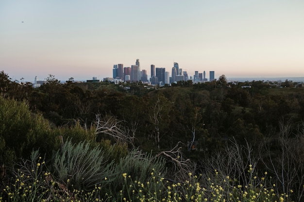 Foto gratuita vista de la ciudad de los ángeles