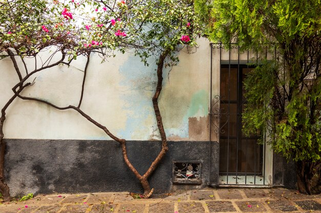 Vista de la colorida arquitectura urbana mexicana