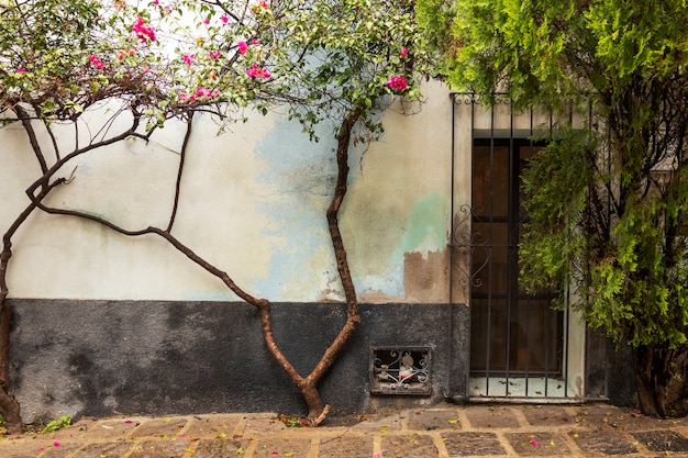 Vista de la colorida arquitectura urbana mexicana