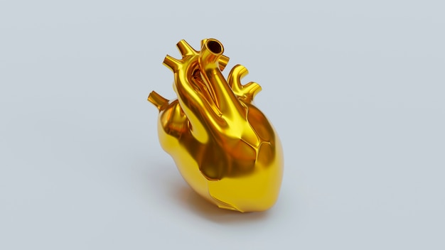 Vista del corazón humano anatómico 3d