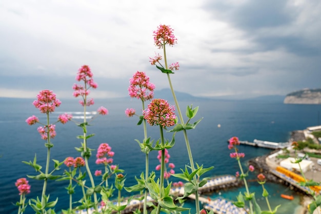 Vista de la costa del mar Tirreno en Sorrento Italia