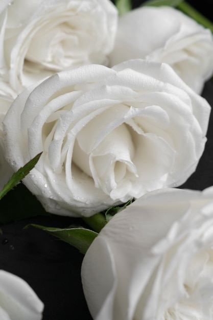 Foto gratuita vista de delicadas flores rosas blancas