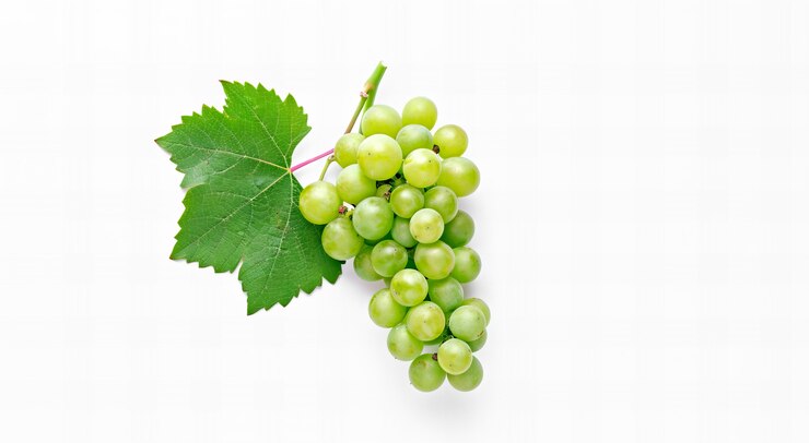Foto gratuito vista de las deliciosas uvas verdes