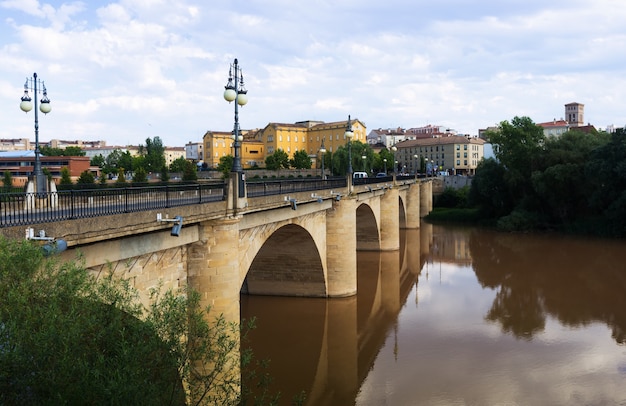 Vista del día de Logroño. Puente da Piedra