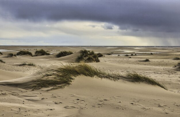 Vista de las dunas de la isla de Amrum, Alemania bajo un cielo nublado