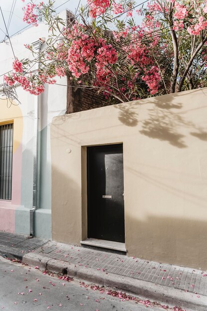 Vista del edificio de la ciudad con árbol y puerta